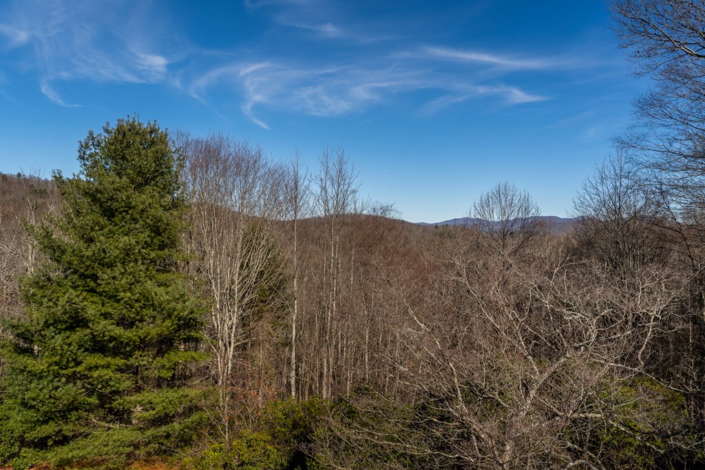 196 Mauldin Creek Road