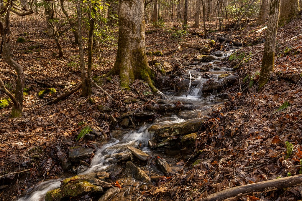 196 Mauldin Creek Road