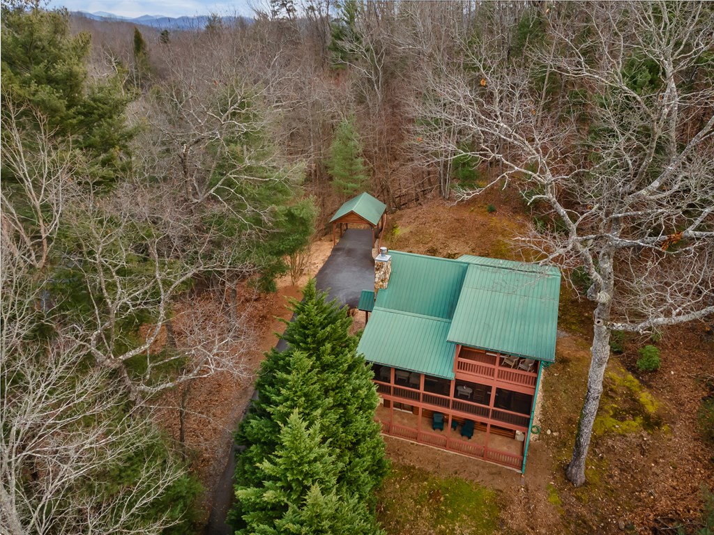 131 Toccoa Overlook Lane
