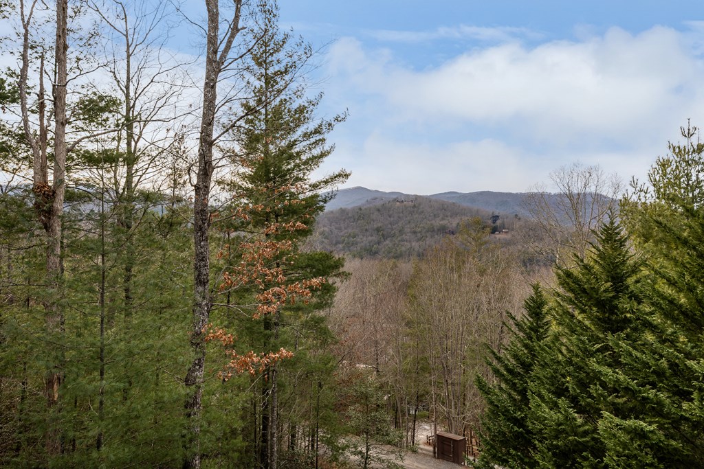 131 Toccoa Overlook Lane