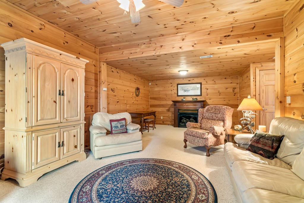 131 Toccoa Overlook Lane