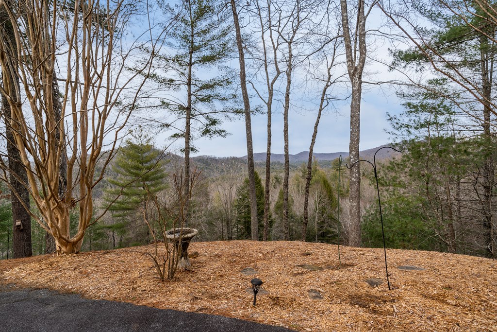 131 Toccoa Overlook Lane