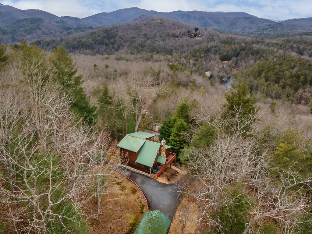 131 Toccoa Overlook Lane