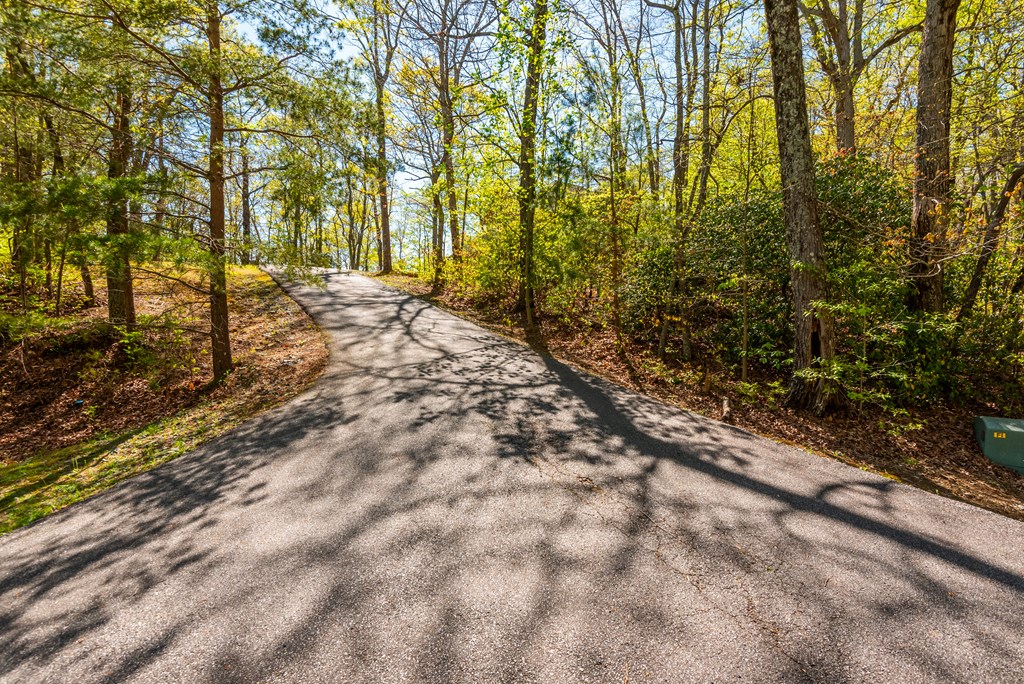 3184 Saint Andrews Way