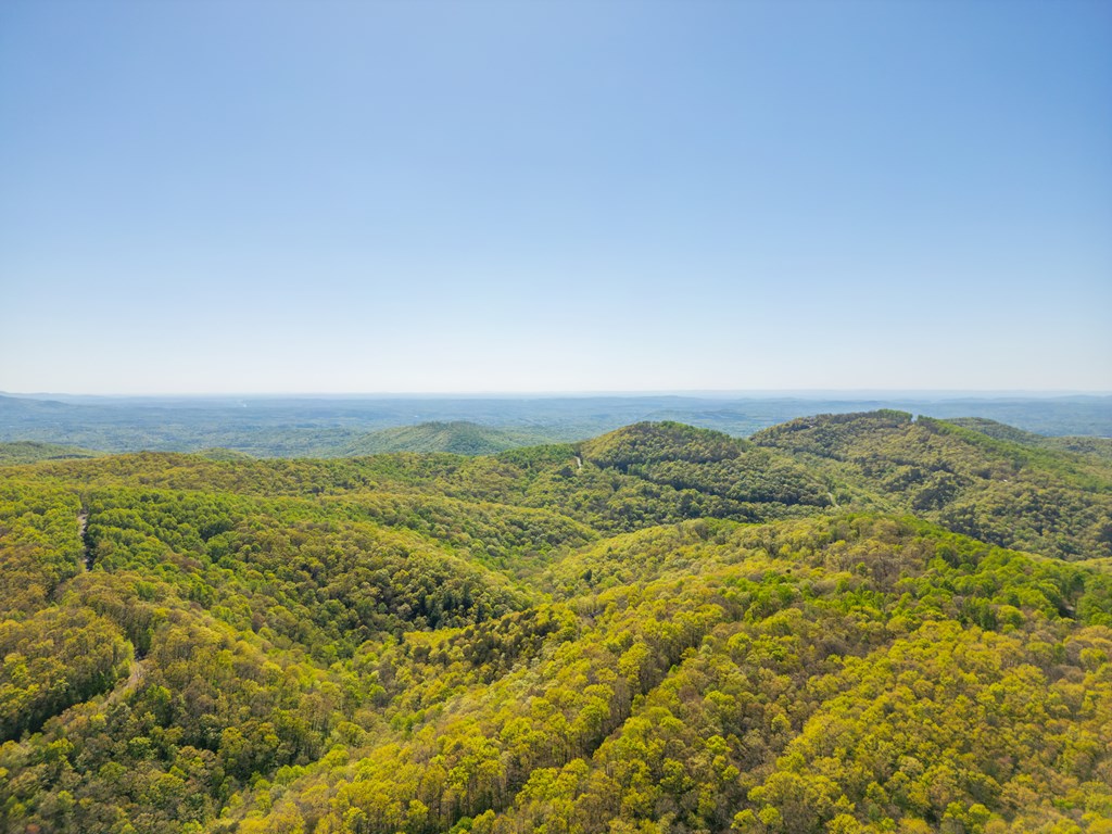 3184 Saint Andrews Way