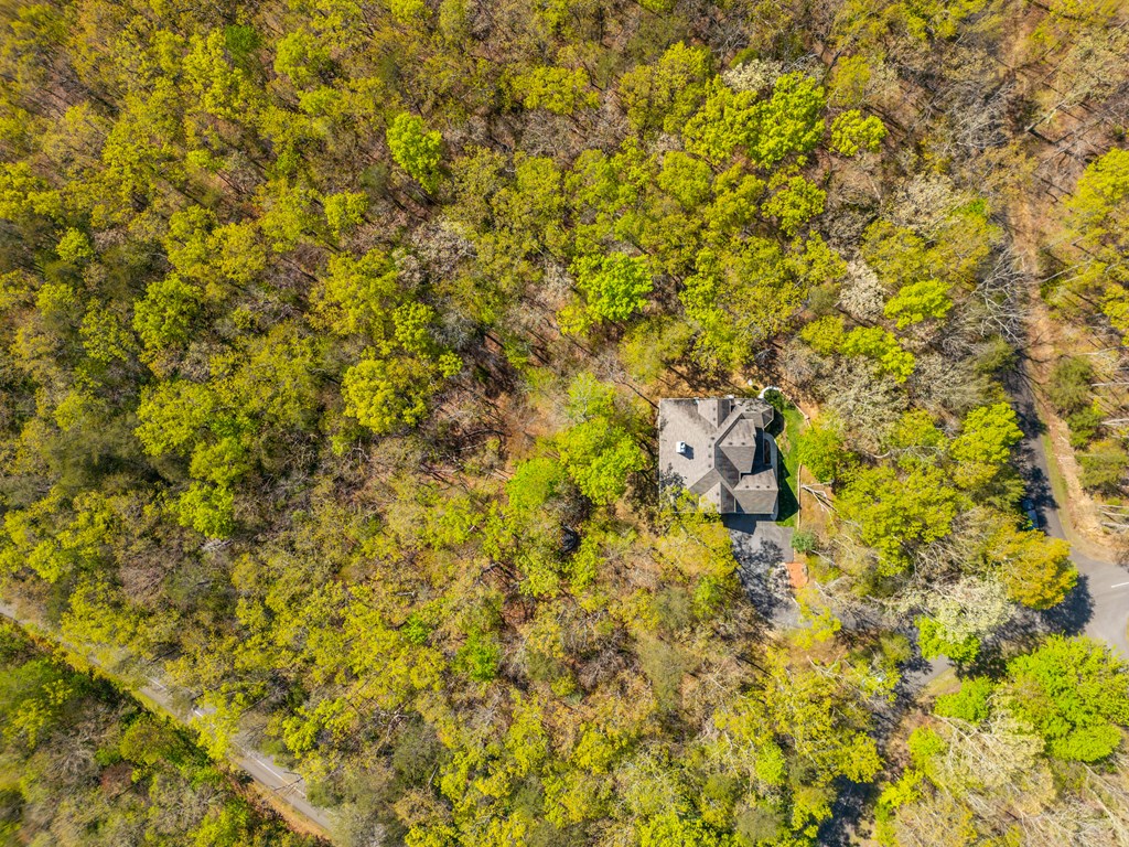 3184 Saint Andrews Way