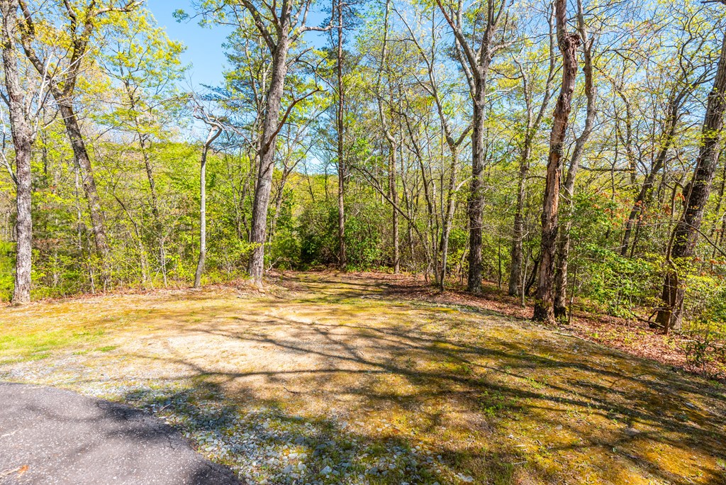 3184 Saint Andrews Way