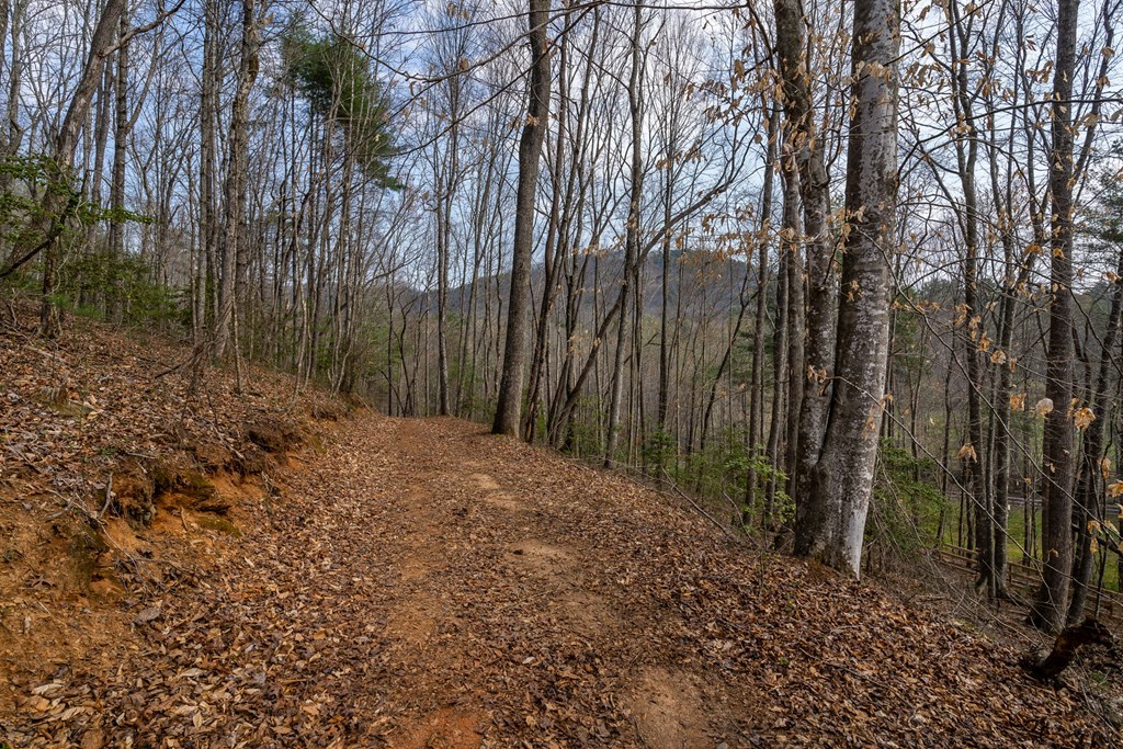 1132 Hells Hollow Road