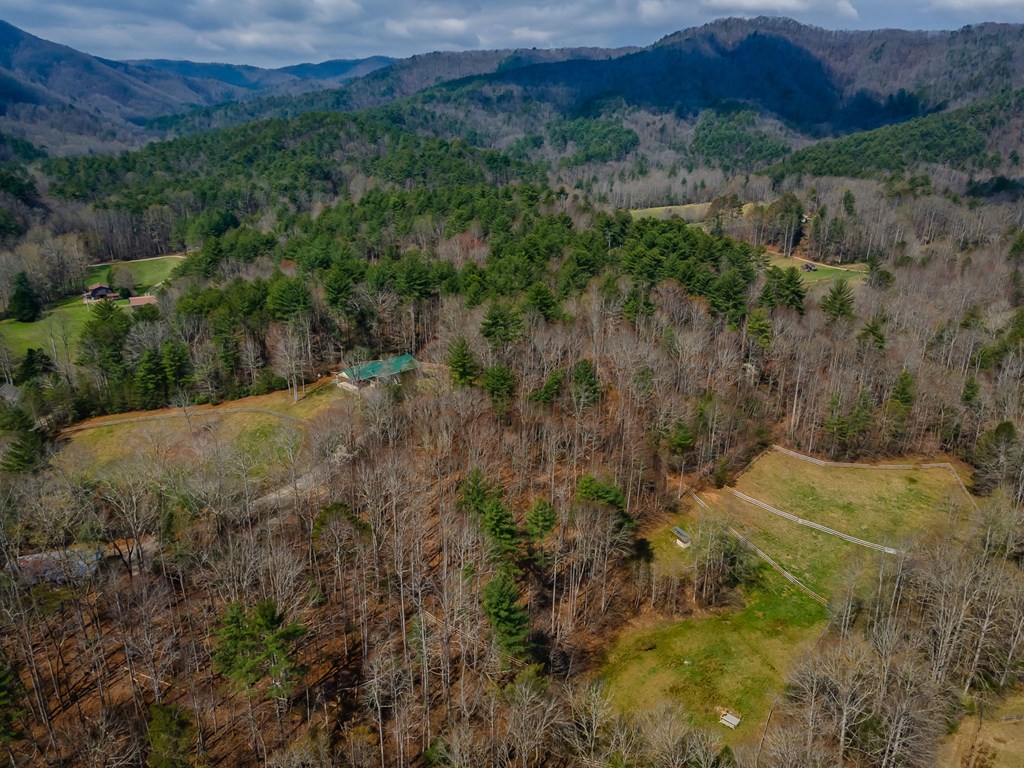 1132 Hells Hollow Road