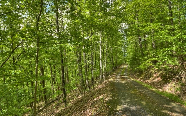 Lot 1 High Country Lane