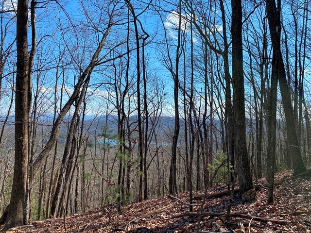 Lot 1 High Country Lane