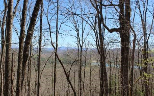 Lot 1 High Country Lane