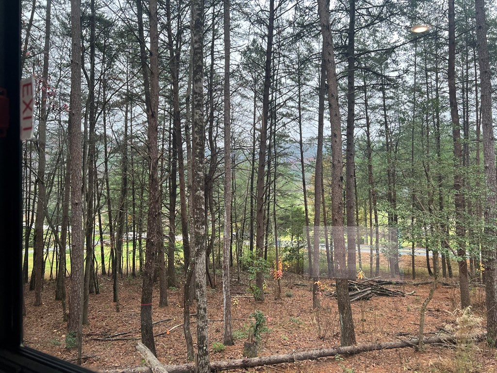 Lot 5 Morganton Hwy