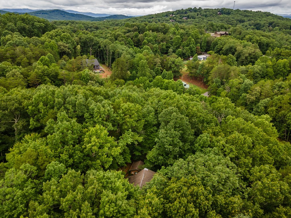 396 Mountain Tops Circle