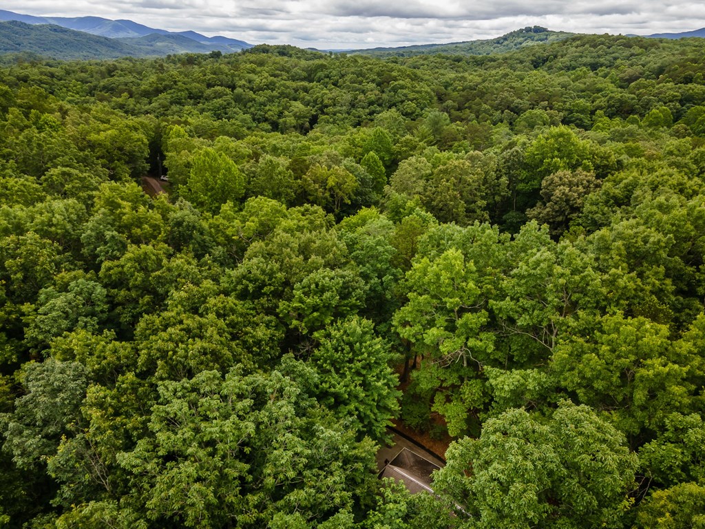 396 Mountain Tops Circle