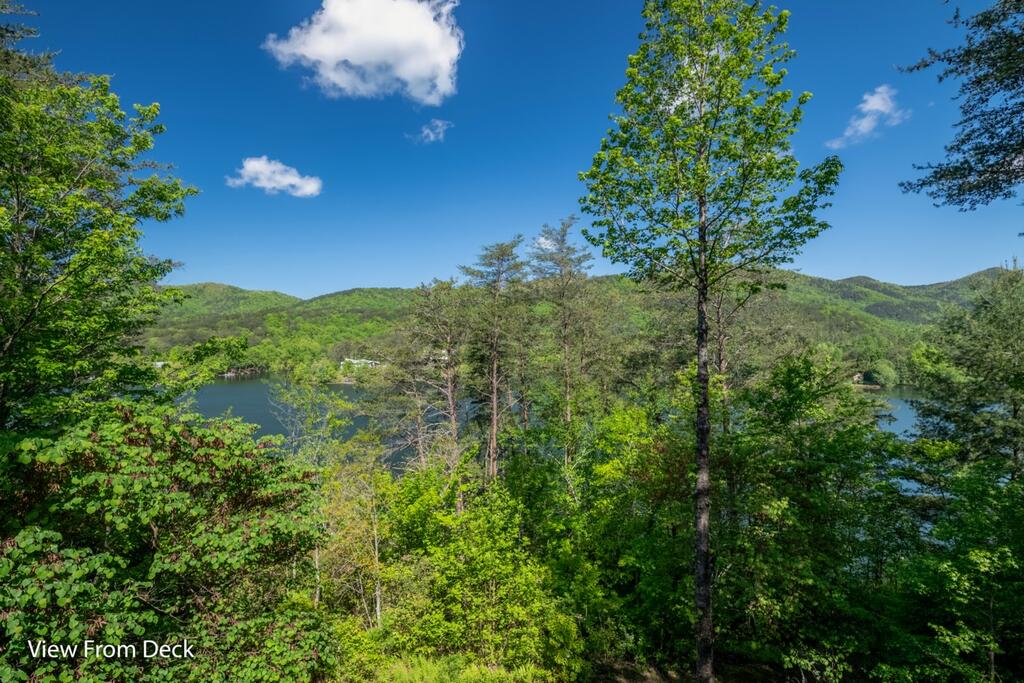 115 Lakeview Drive