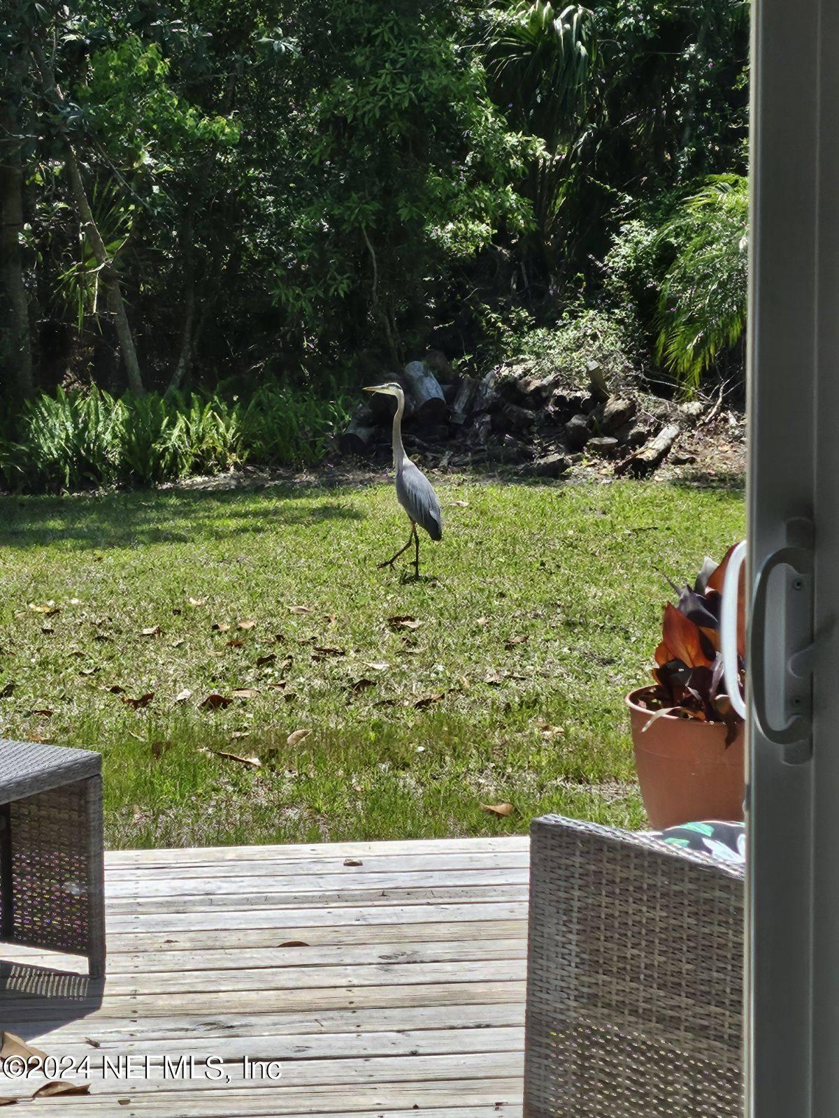 144 SHELBYS COVE Court