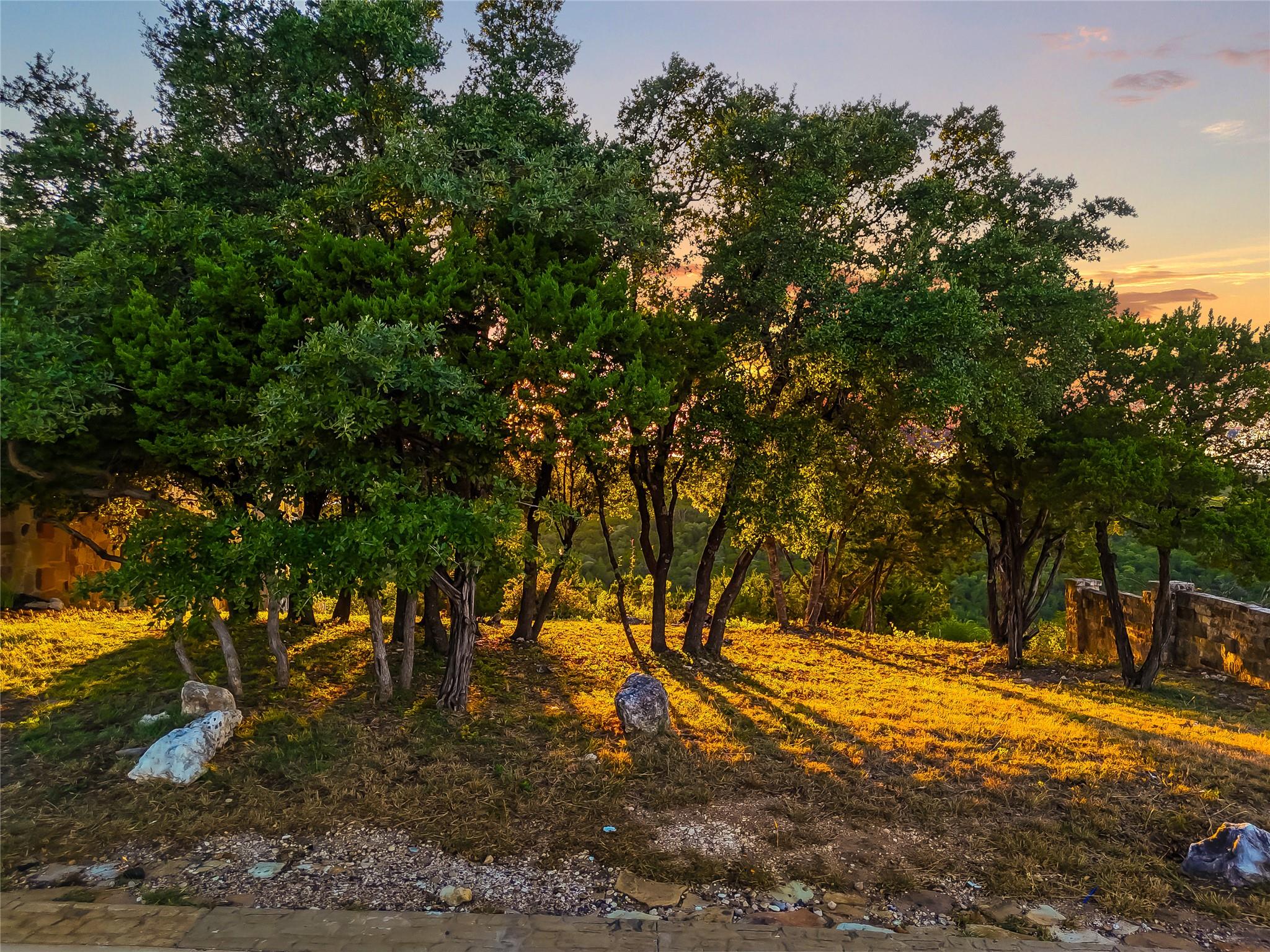 7116 Cielo Azul PASS