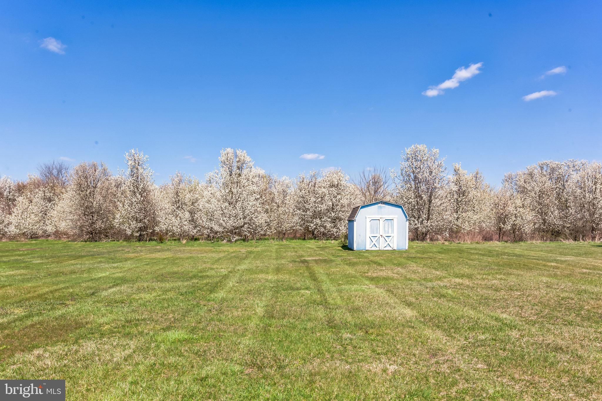 62 Appletree Ln