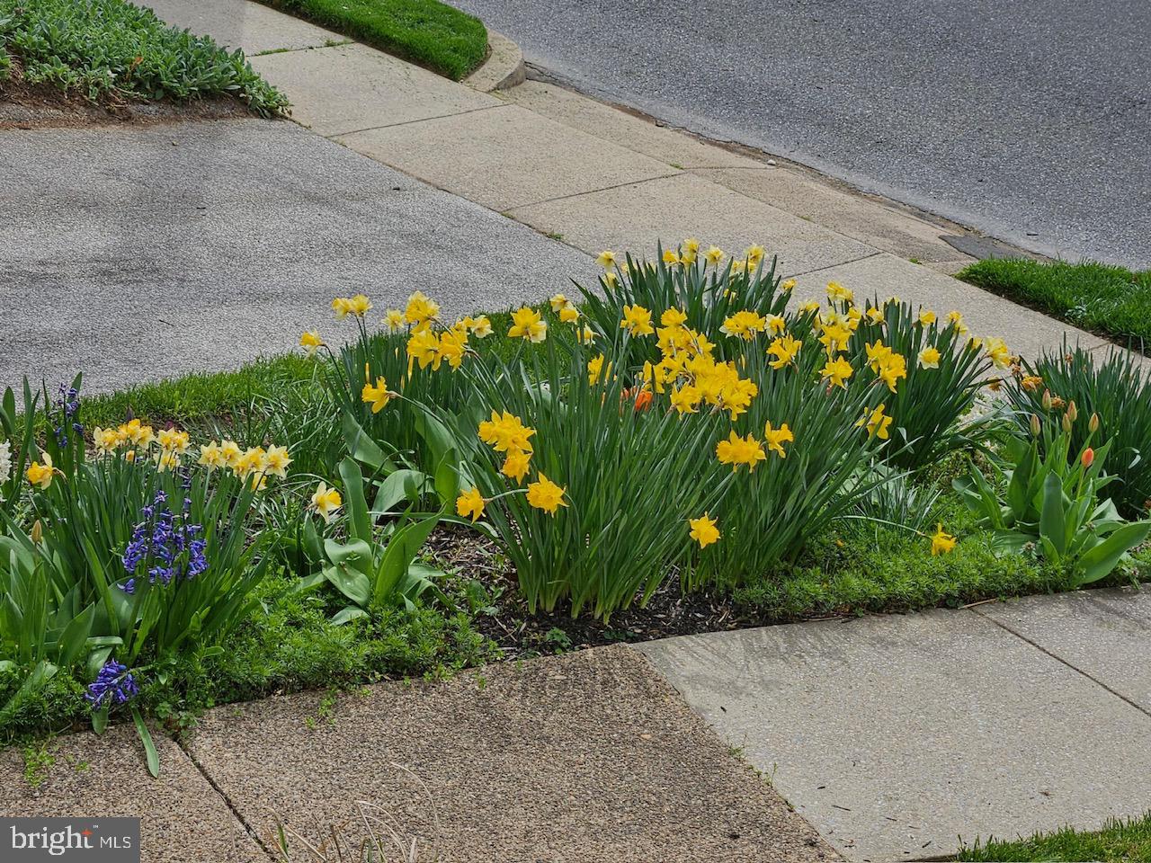 90 W Greenwood Ave