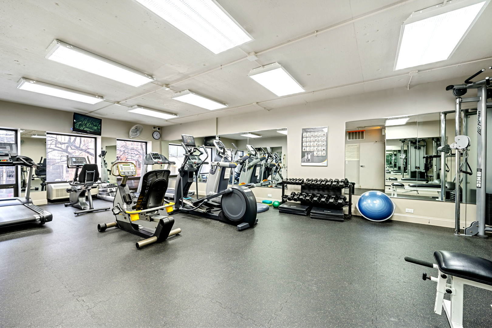 1100 N Lake Shore Drive Unit: 17B