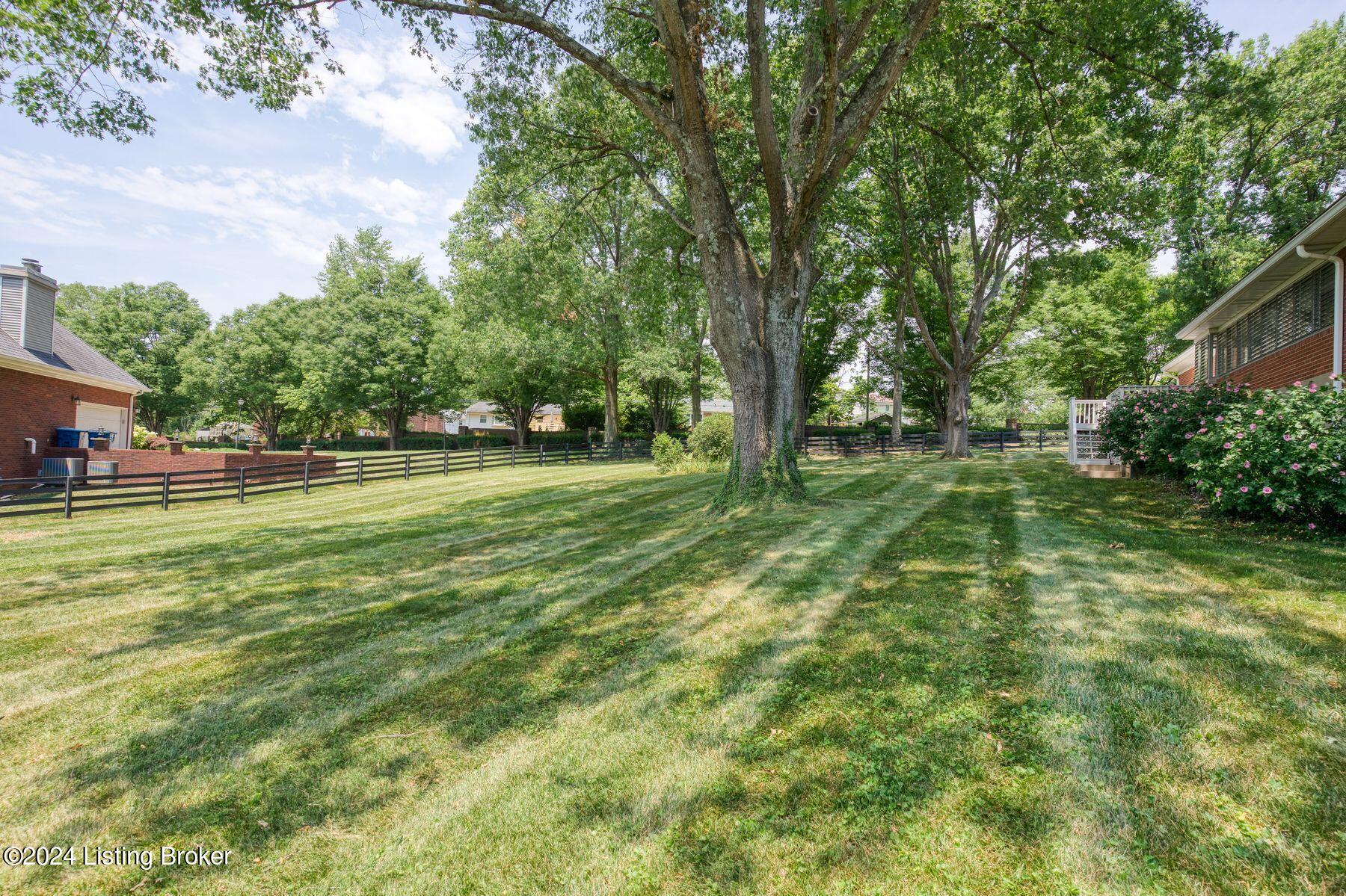 708 Dorsey Ln