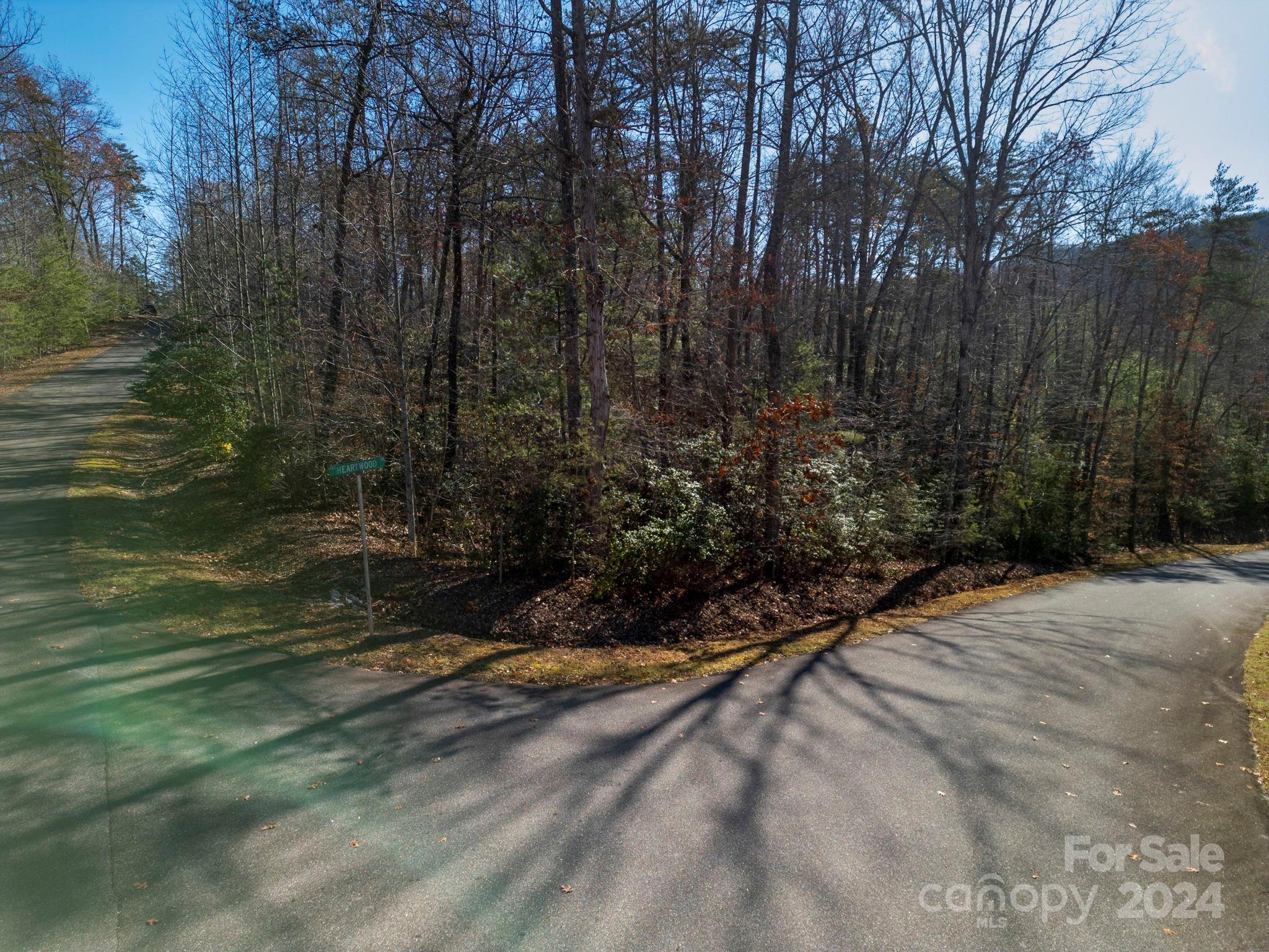 0 Forest Country Drive Unit: 60