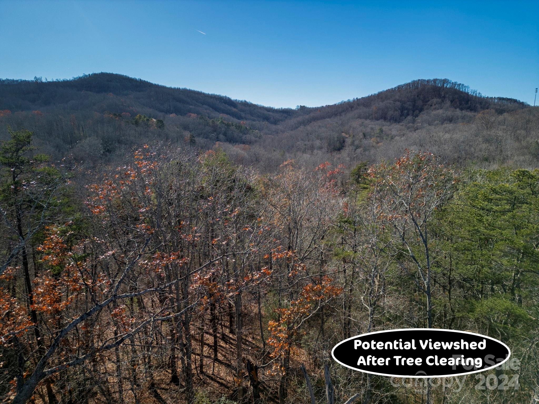 0 Forest Country Drive Unit: 60