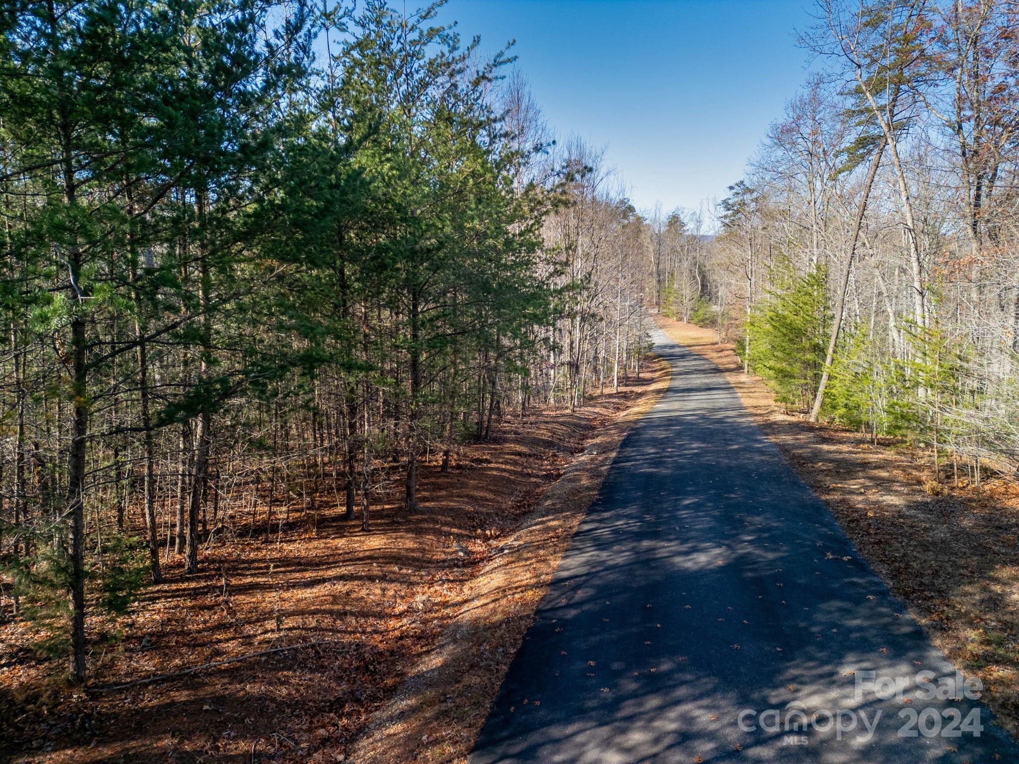0 Forest Country Drive Unit: 60