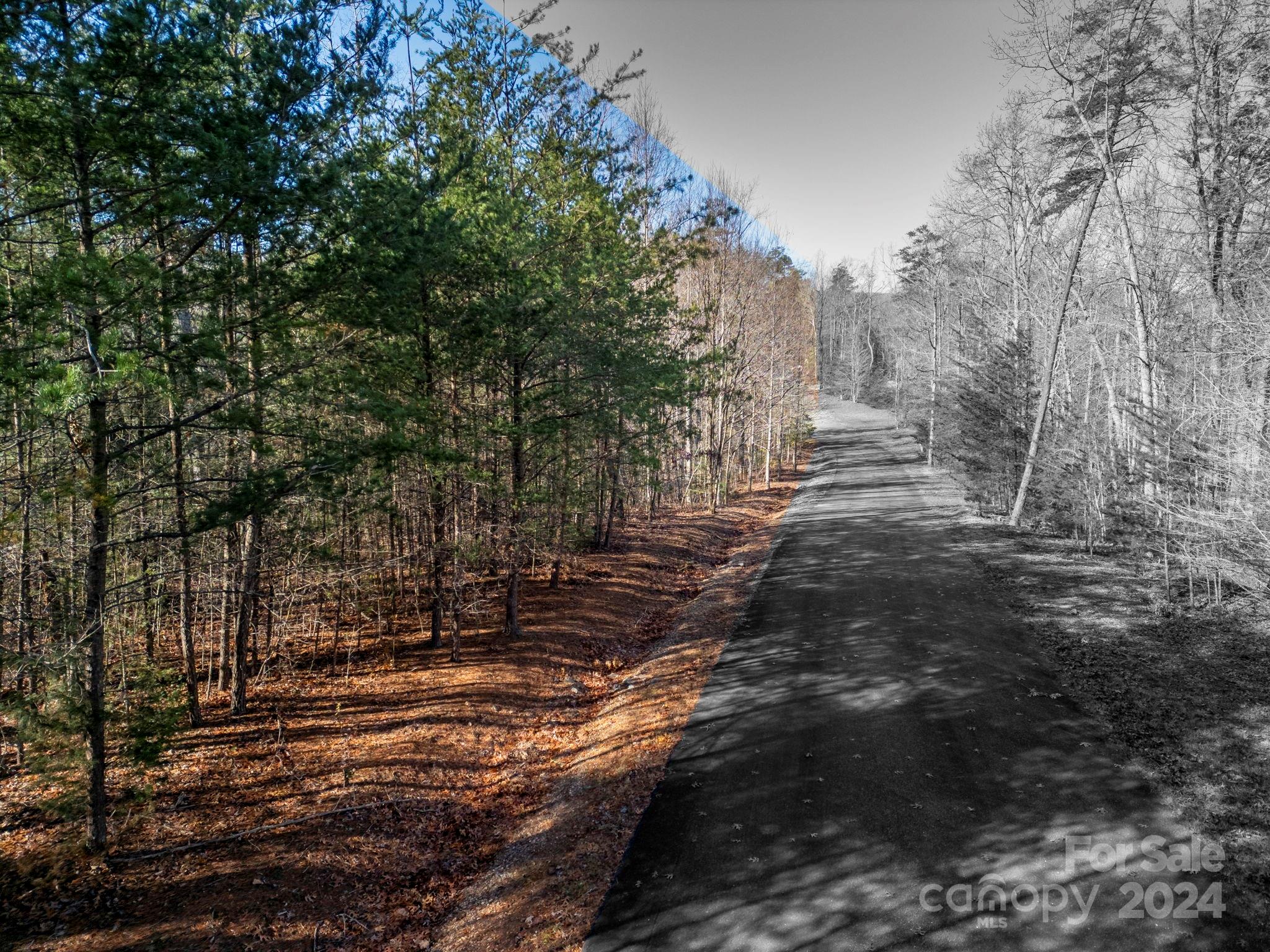 0 Forest Country Drive Unit: 60