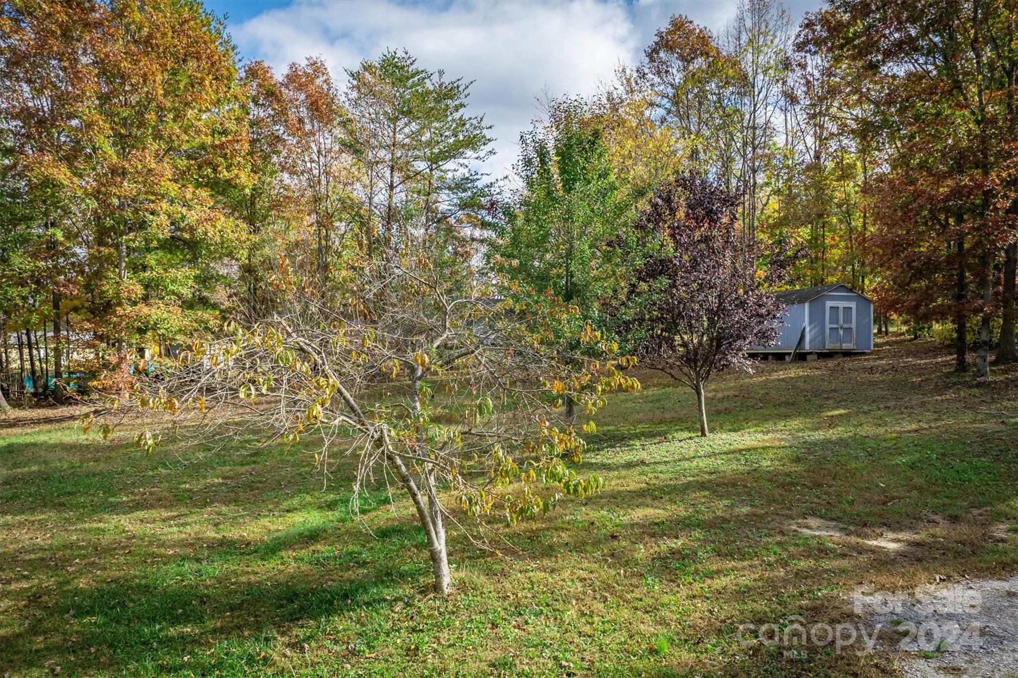 57 Hazel Drive