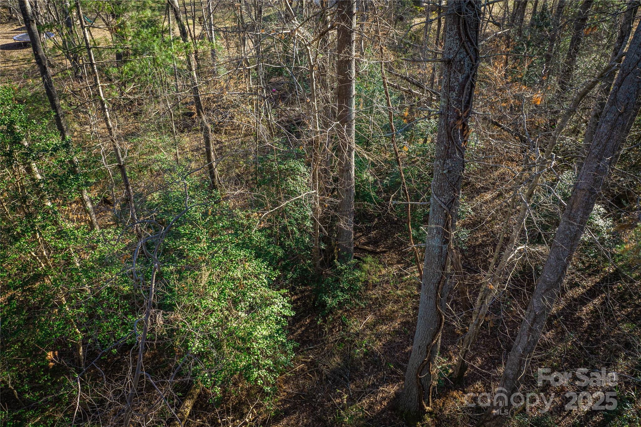 302 Winding Creek Road