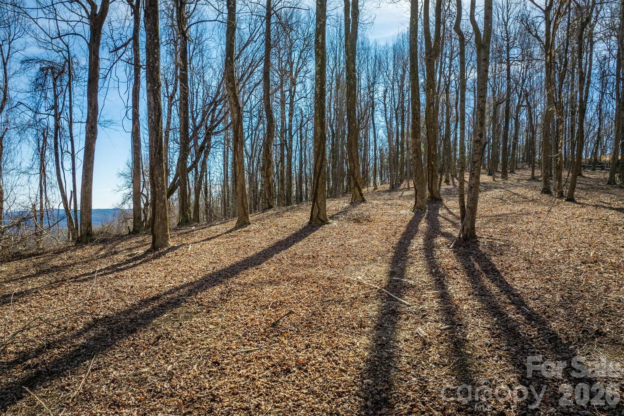 7596 Walkertop Mtn Overlook Drive