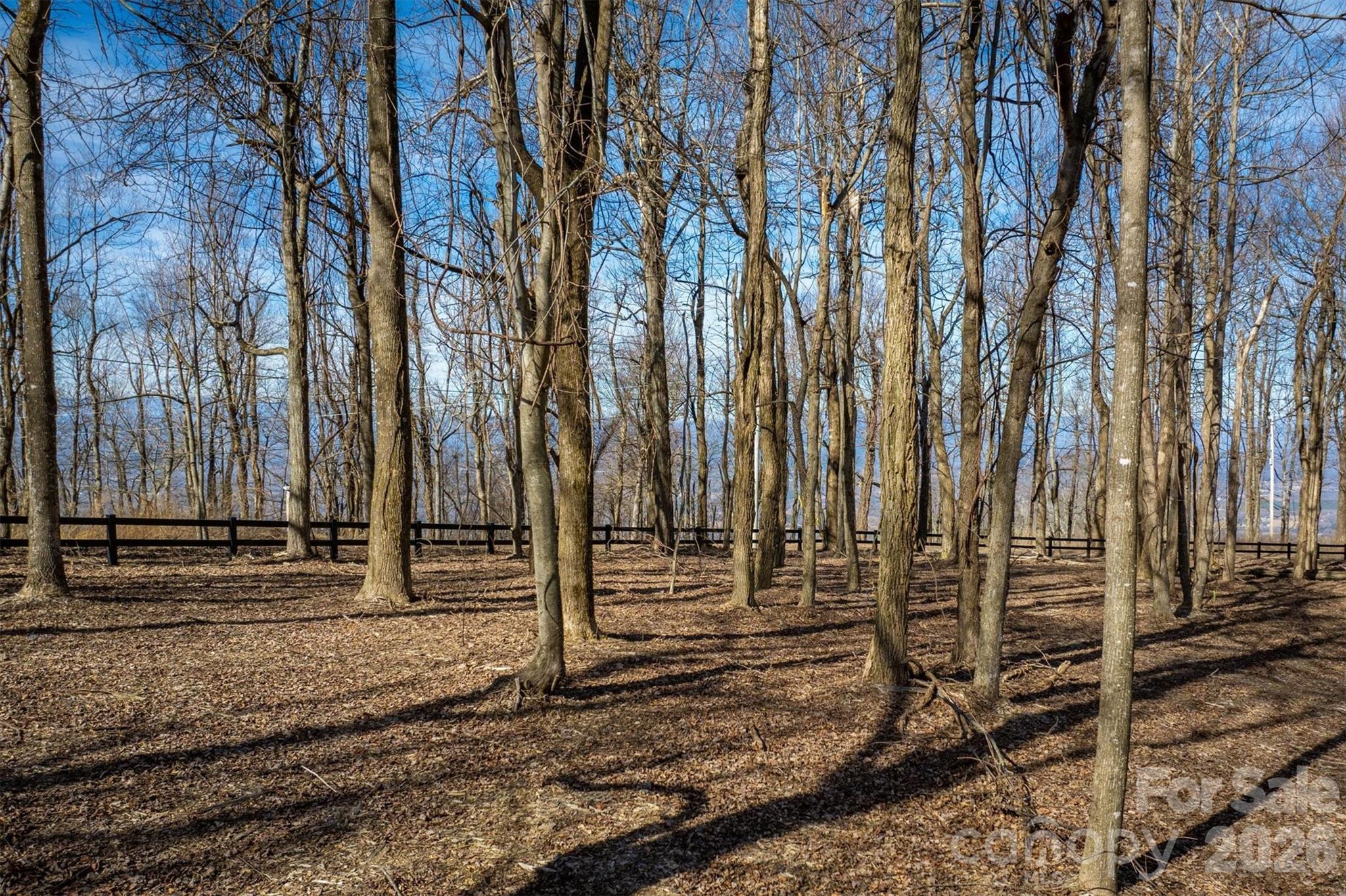 7596 Walkertop Mtn Overlook Drive