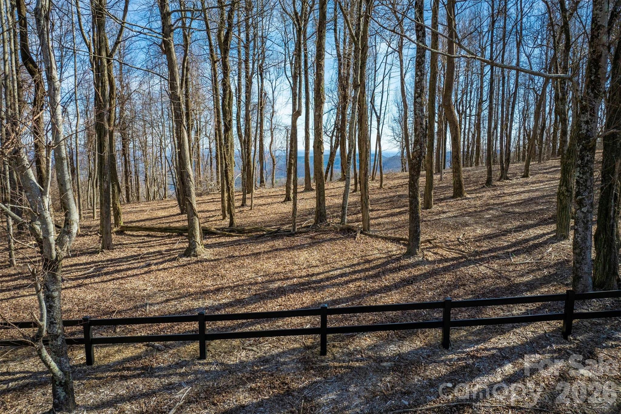 7596 Walkertop Mtn Overlook Drive