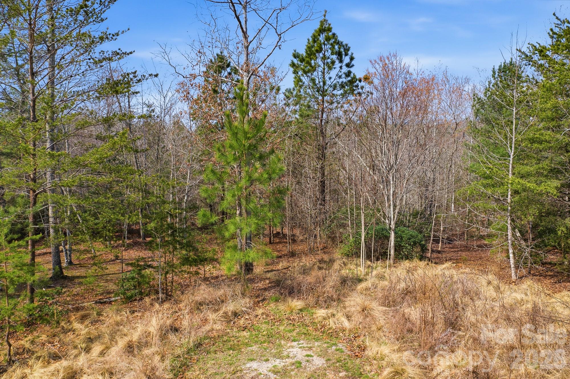 184 Ridge Point Road