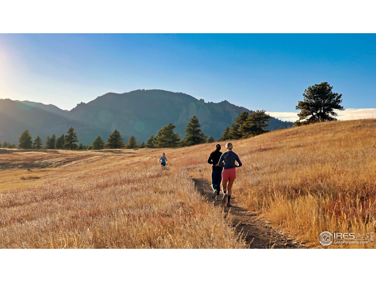 3716 Wonderland Hill Ave