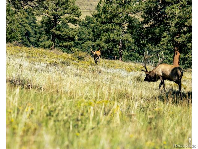 3200 S Foothills Highway