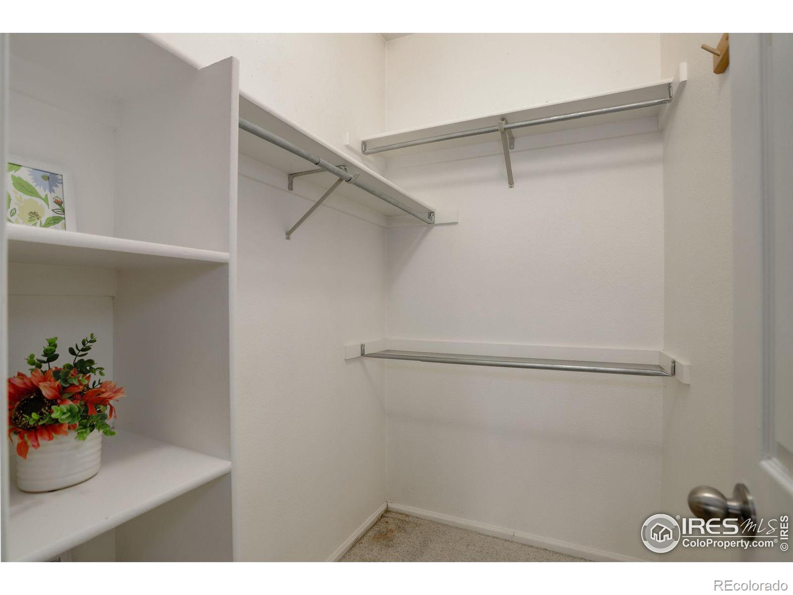 7481 Spy Glass Court