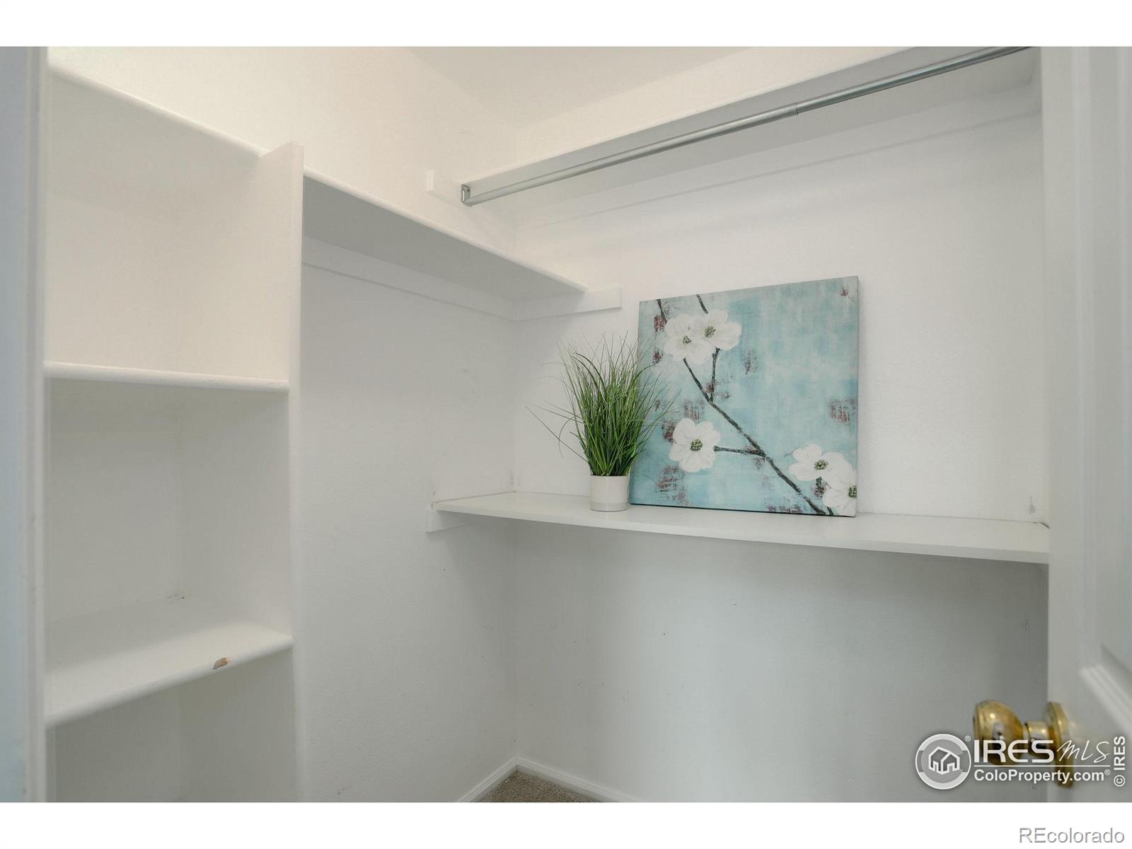 7481 Spy Glass Court