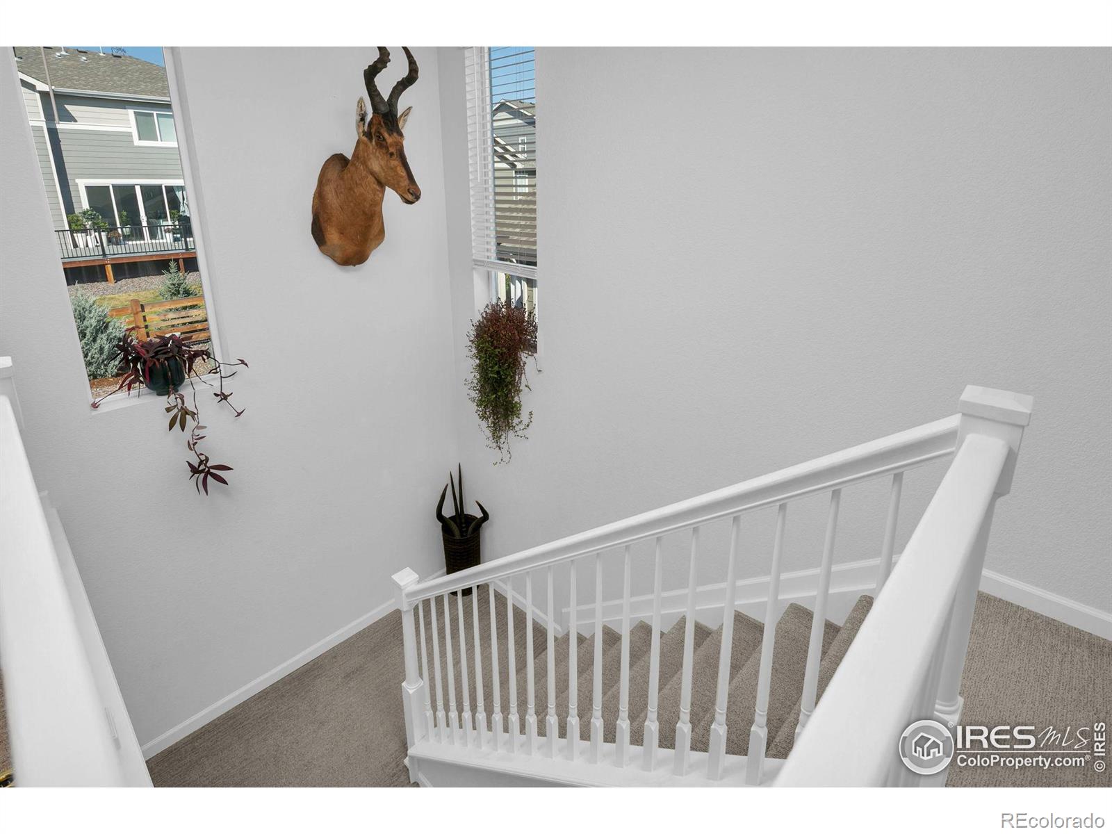 850 Eva Peak Drive