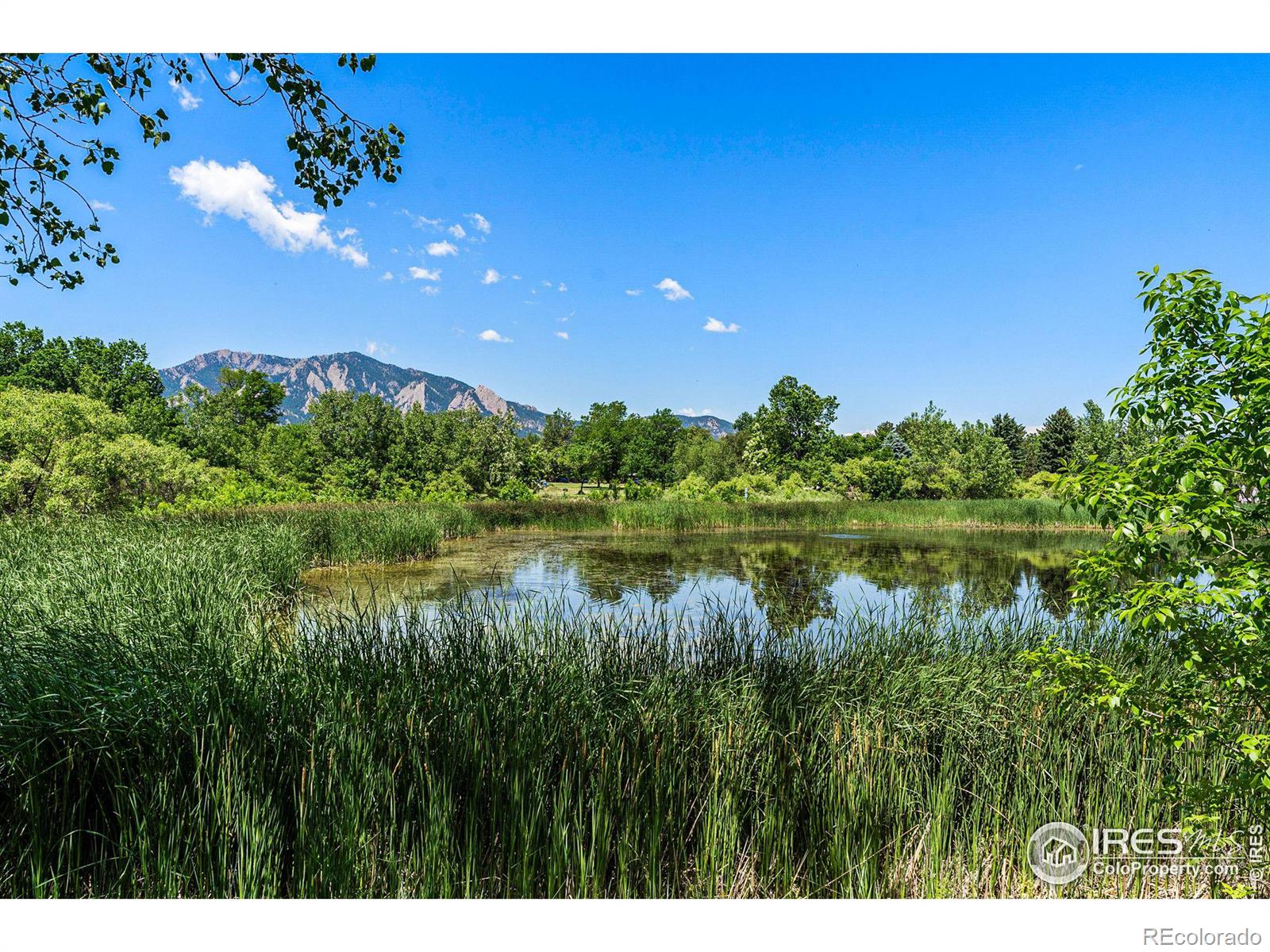 4500 Baseline Road Unit: 2106