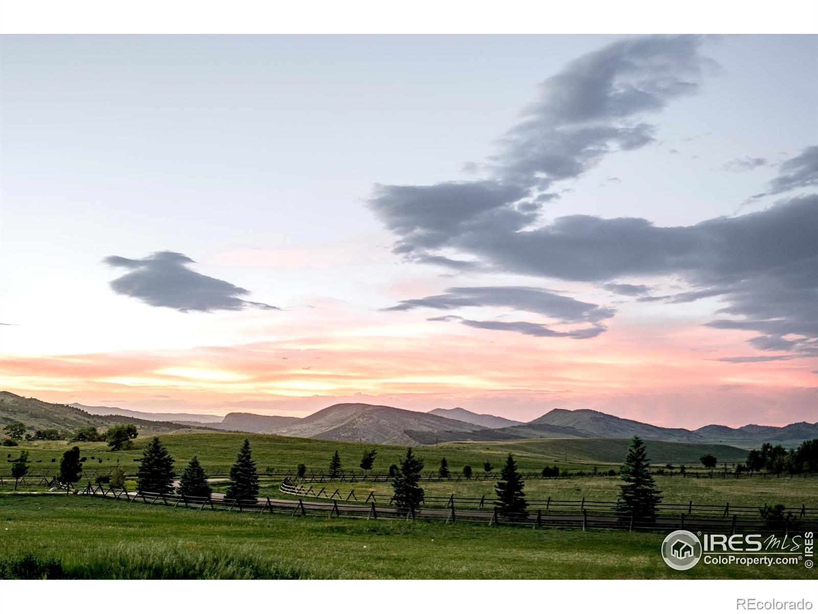 11546 Eagle Springs Trail