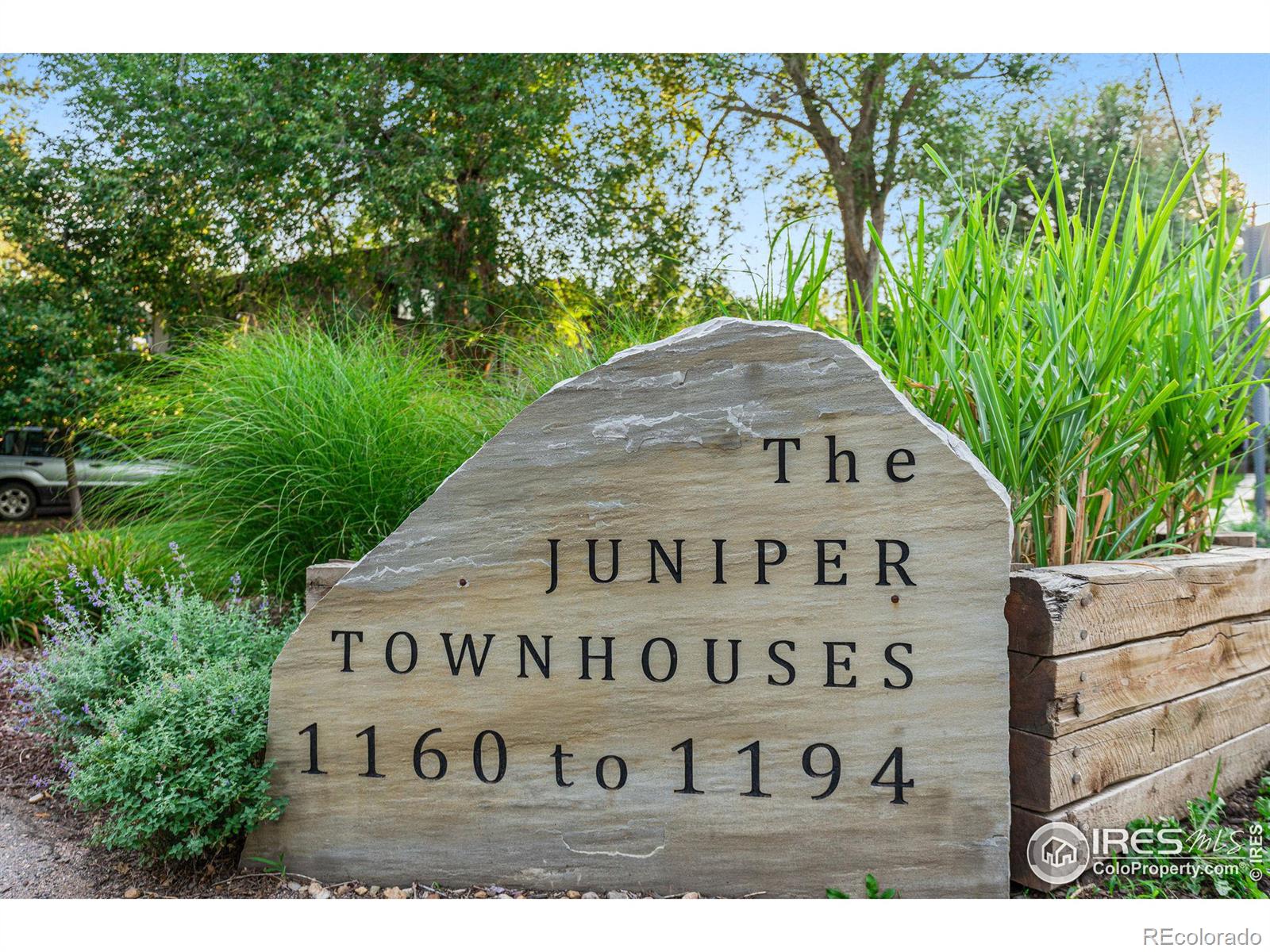 1192 Juniper Avenue