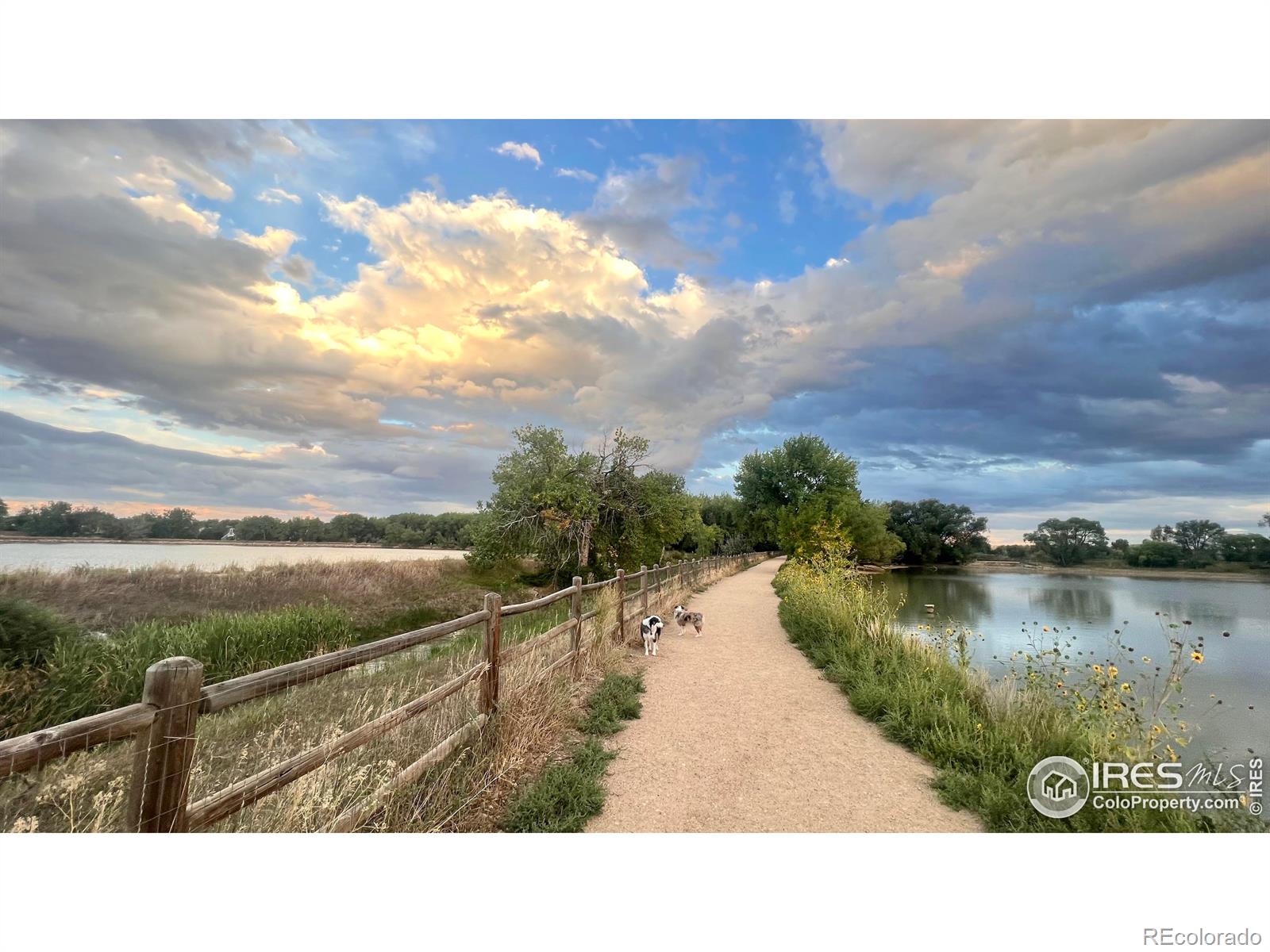 5116 Williams Fork Trail Unit: 114