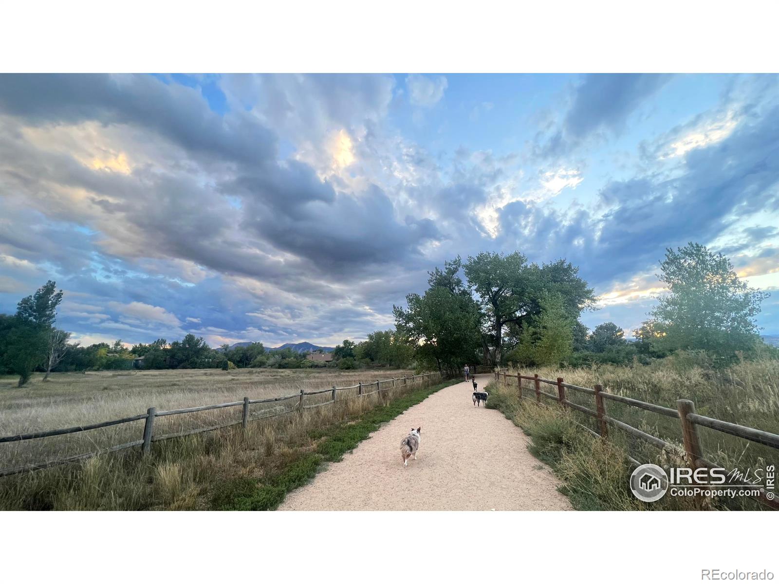 5116 Williams Fork Trail Unit: 114