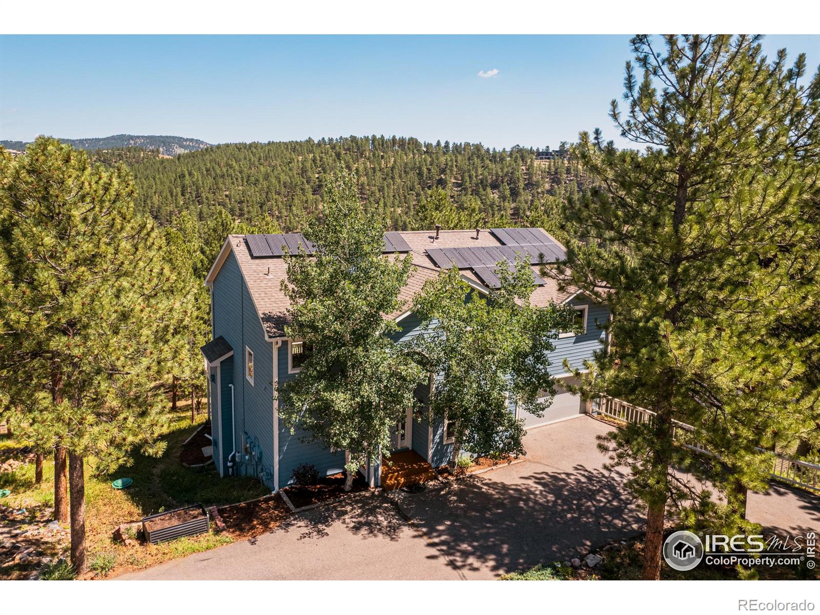 3105 Dandy Lion Lane