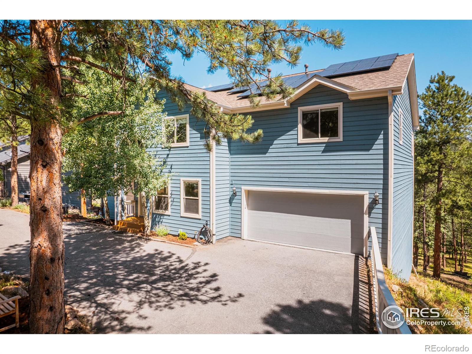 3105 Dandy Lion Lane