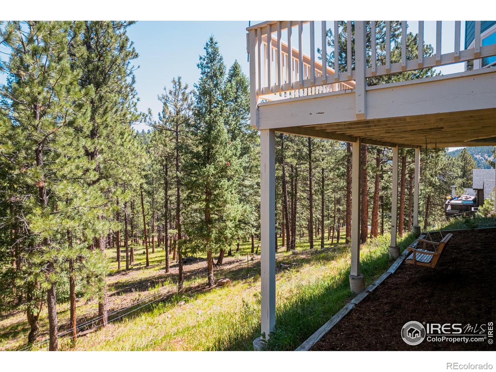 3105 Dandy Lion Lane