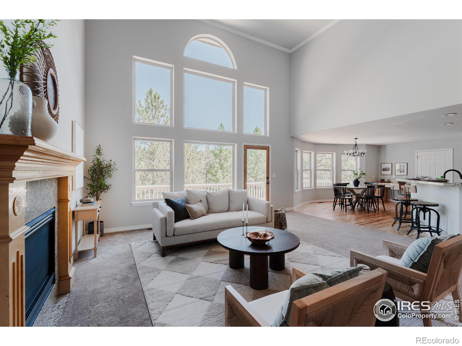 3105 Dandy Lion Lane